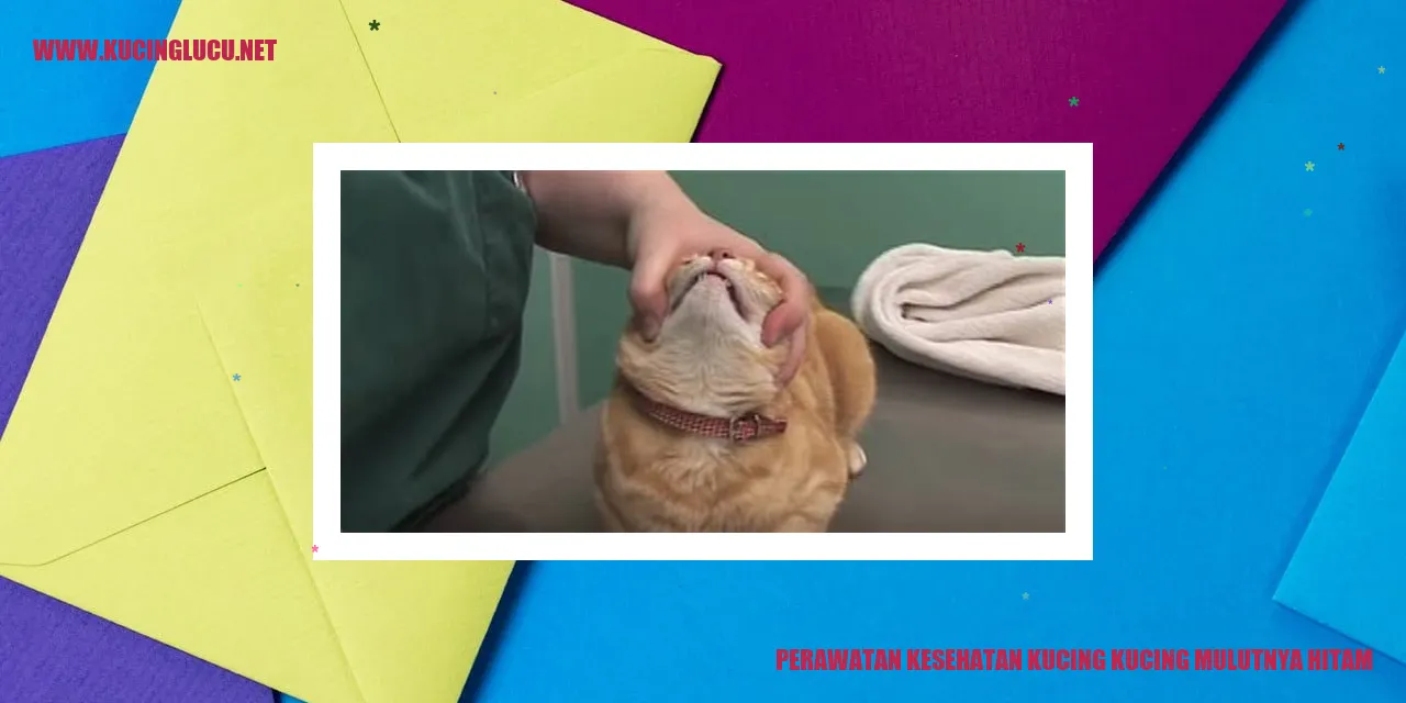 Perawatan Kesehatan Kucing