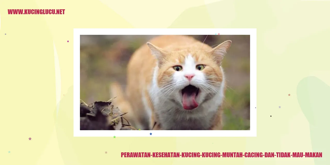 Perawatan Kesehatan Kucing