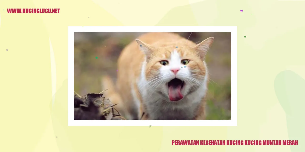 Perawatan Kesehatan Kucing: Mengatasi Muntah Berdarah