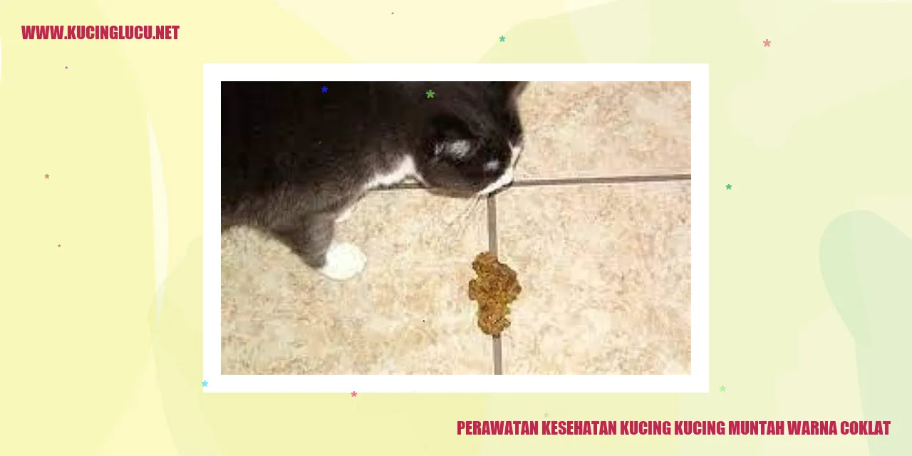Perawatan Kesehatan Kucing