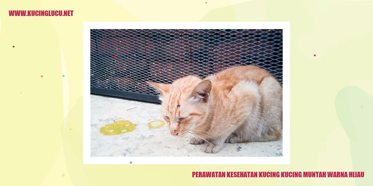 Gambar Kucing