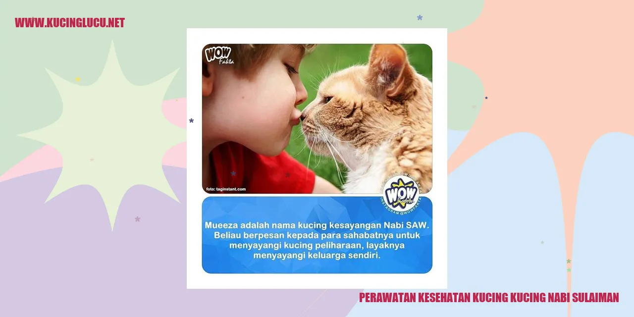 Gambar kucing Nabi Sulaiman
