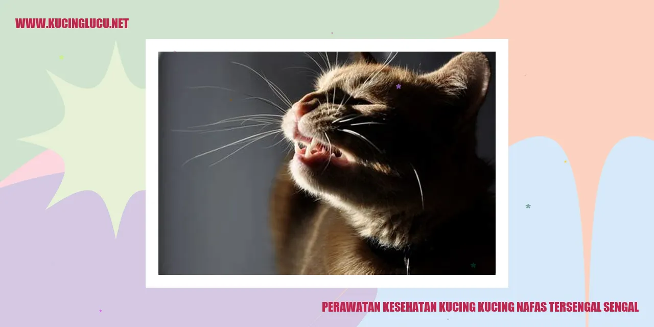 Gambar kucing