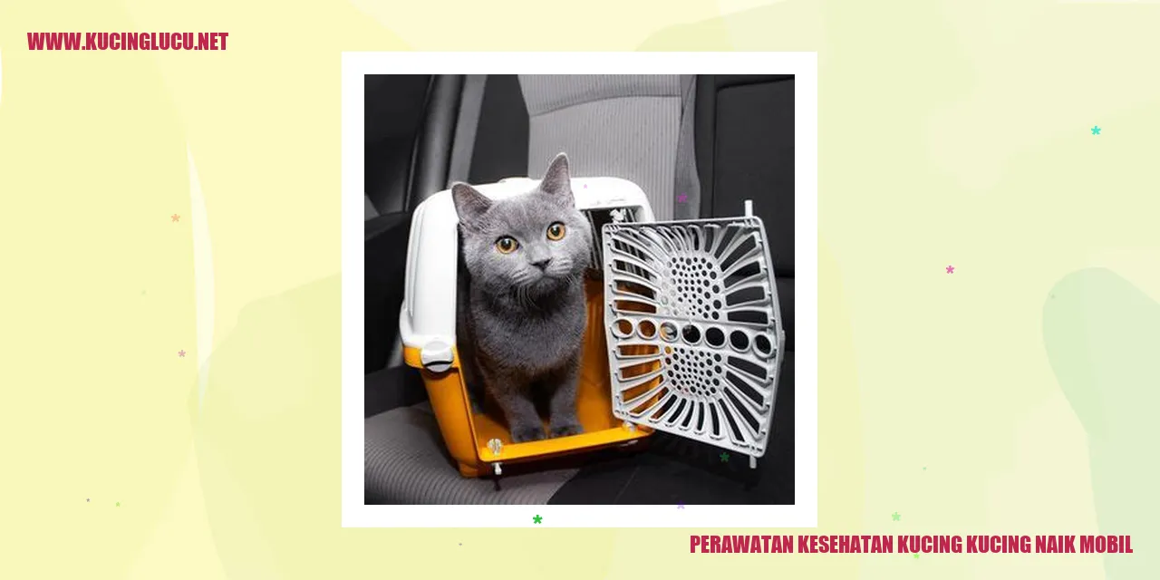 Kucing naik mobil