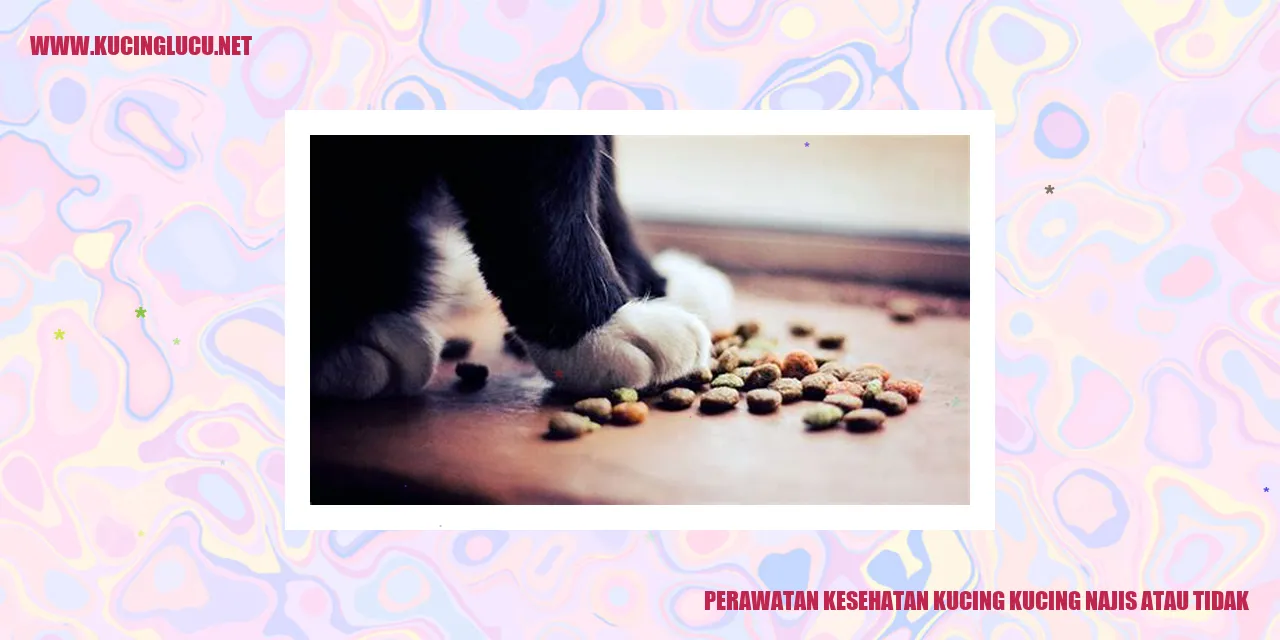 Perawatan Kesehatan Kucing