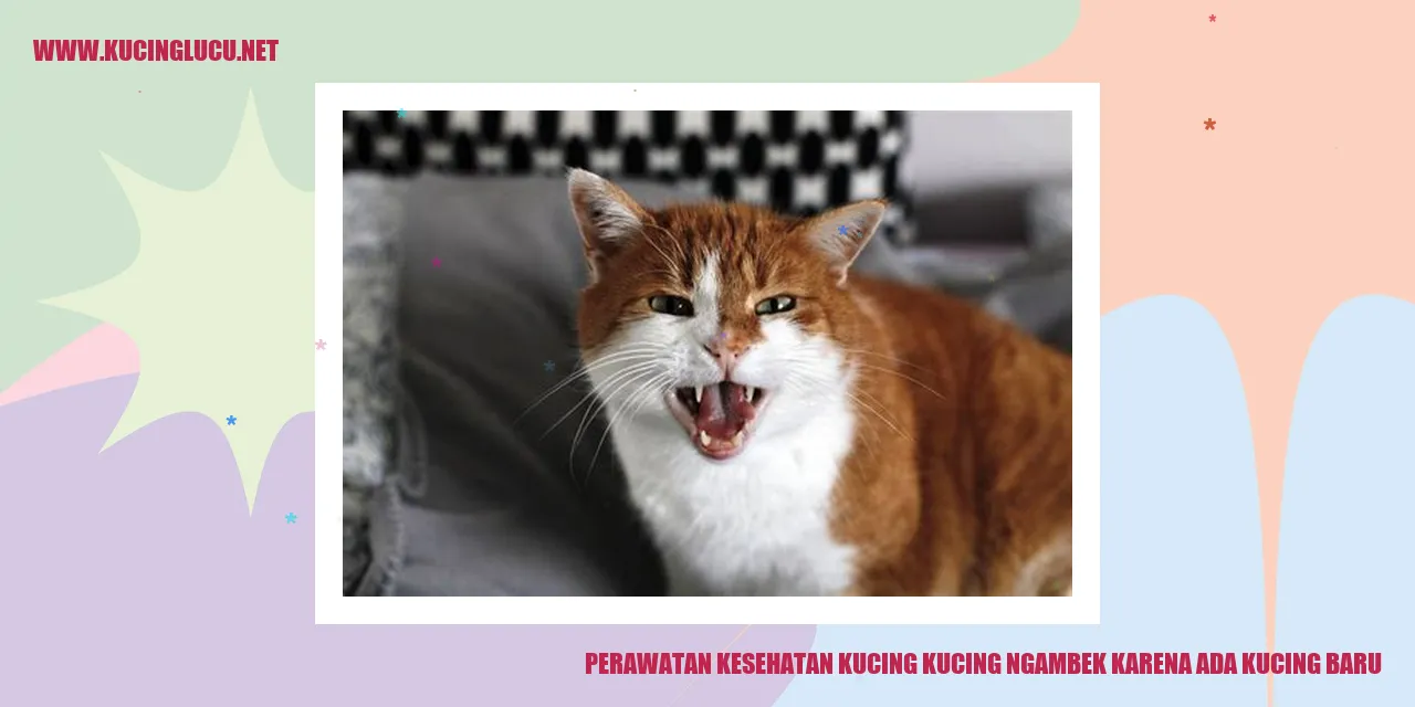 gambar seekor kucing yang berang karena ada kucing baru