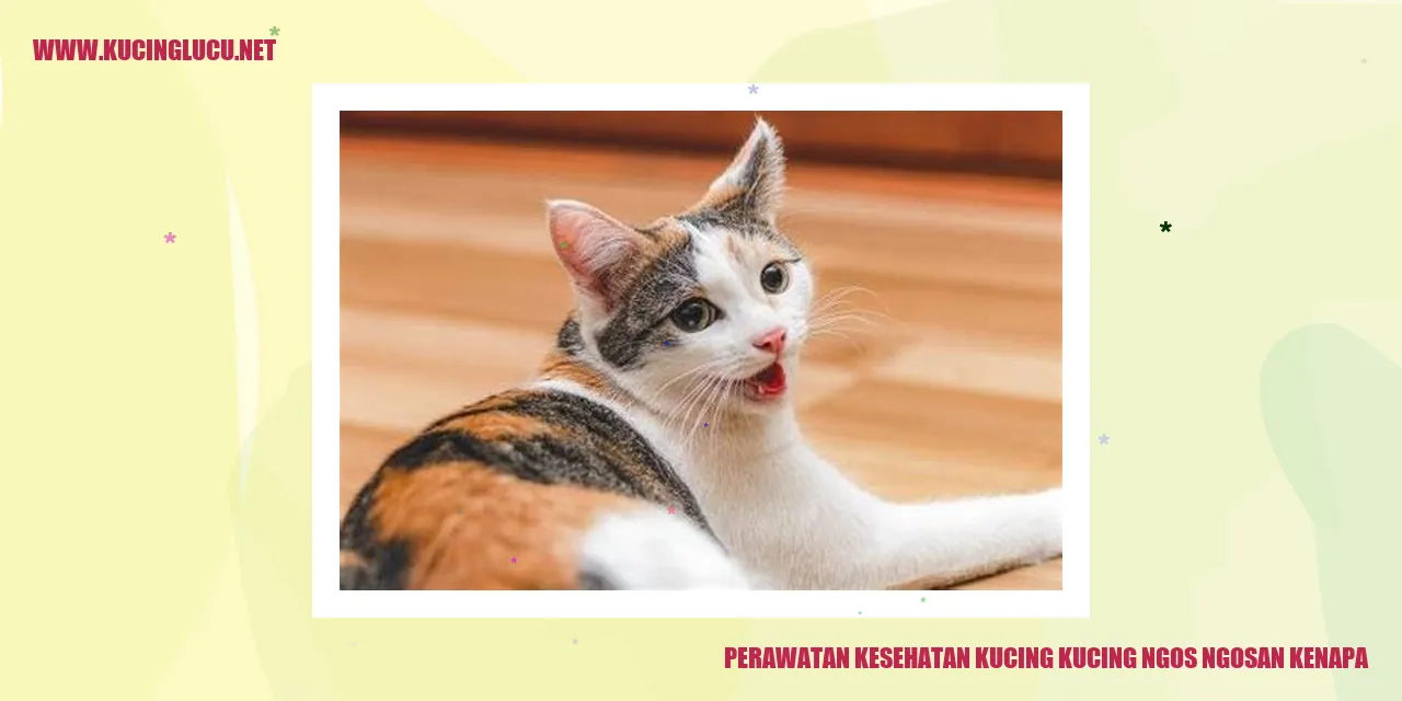 Perawatan Kesehatan Kucing