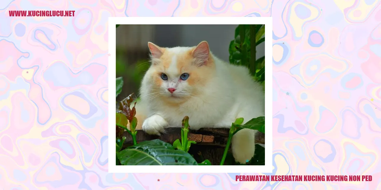 Perawatan Kesehatan Kucing