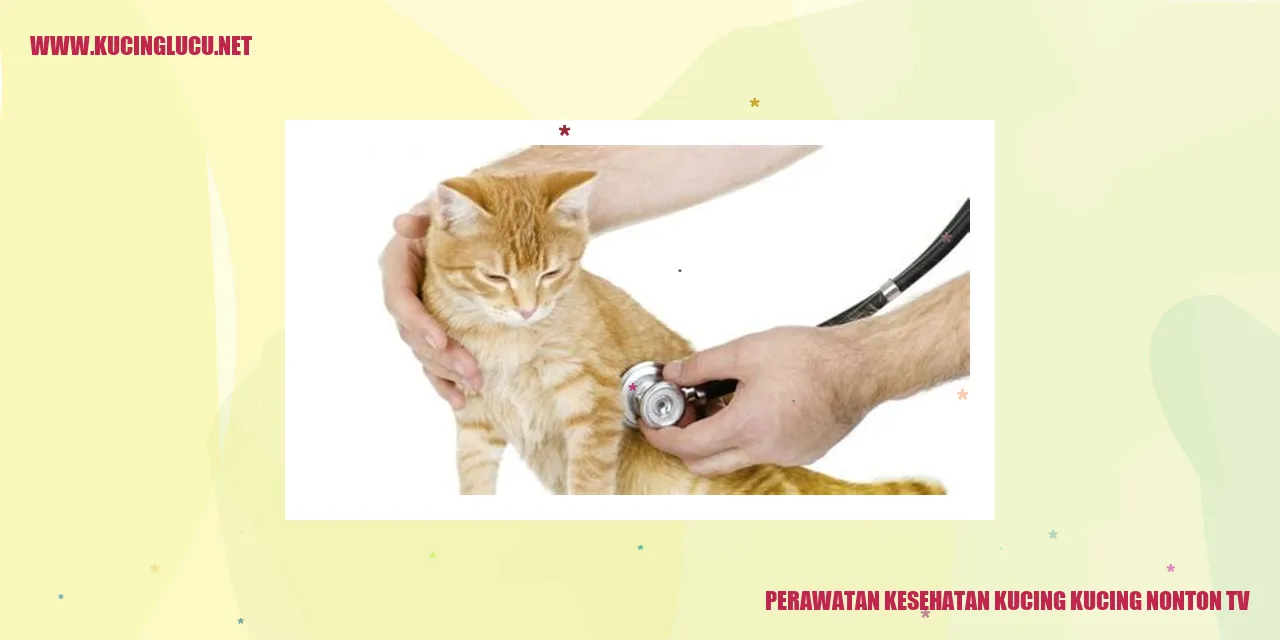 Kucing Nonton TV