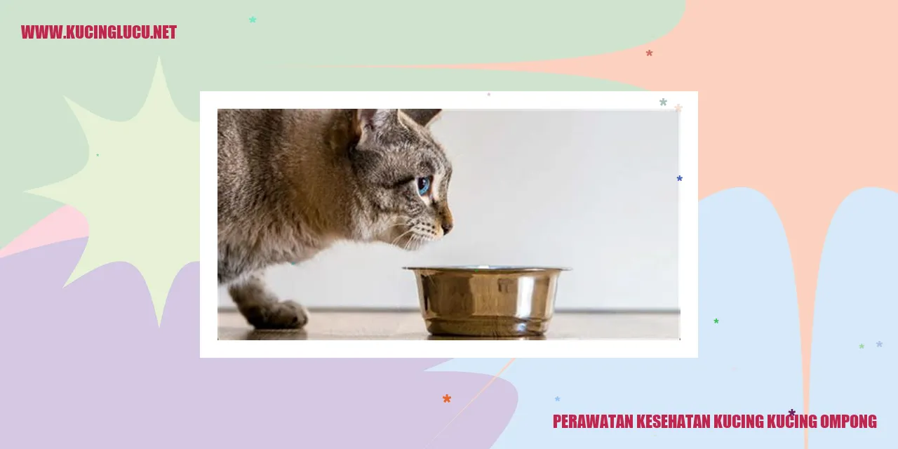 Perawatan Kesehatan Kucing Kucing Ompong