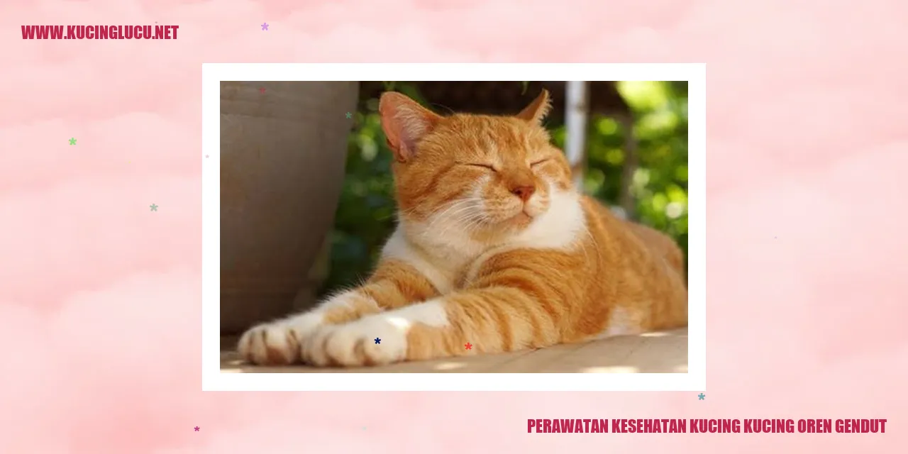 Kucing Oren Gendut