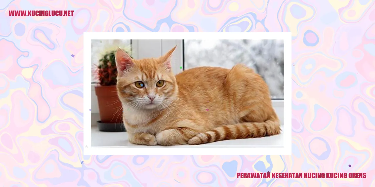 Perawatan Kesehatan Kucing Kucing Orens