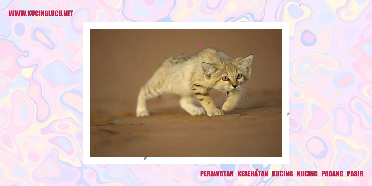 Perawatan Kesehatan Kucing Padang Pasir