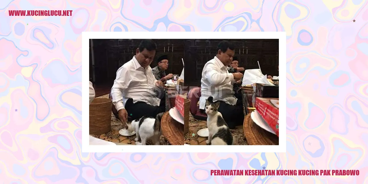 Perawatan Kesehatan Kucing Kucing Pak Prabowo