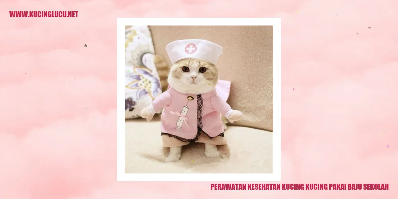 Perawatan Kesehatan Kucing