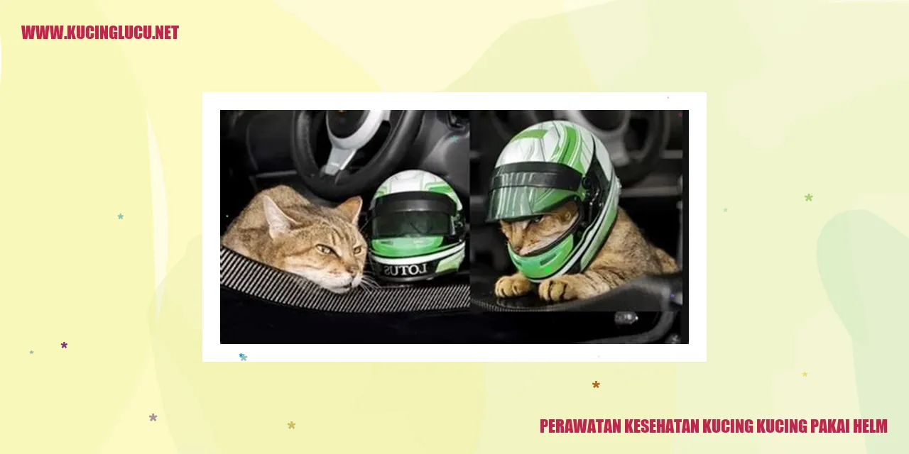 Kucing Pakai Helm