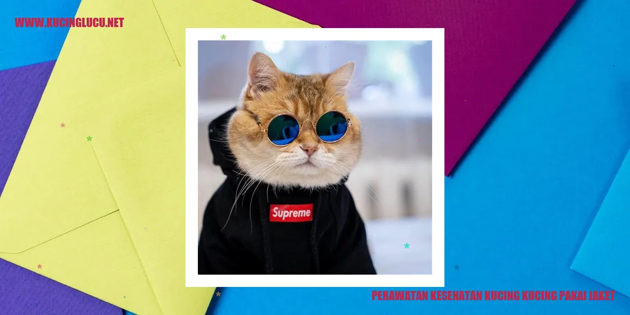 Perawatan Kesehatan Kucing