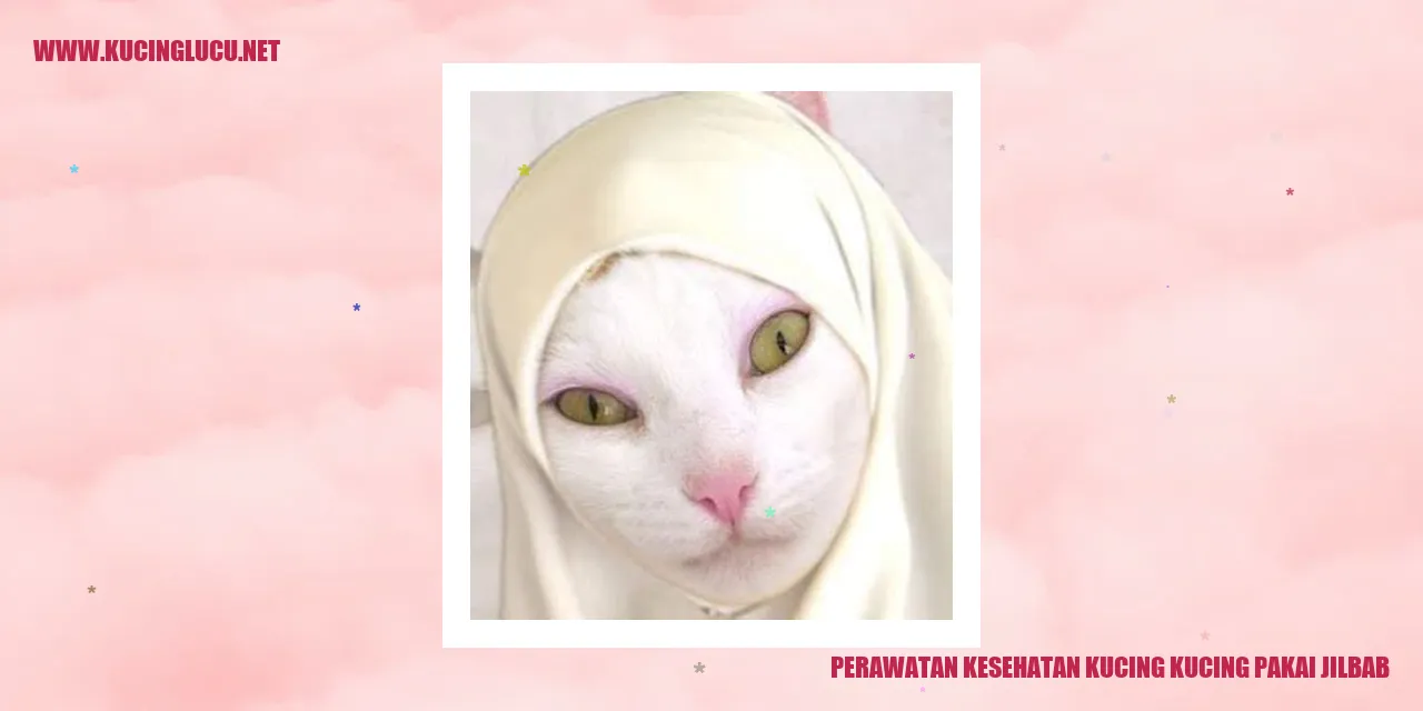 Gambar kucing dengan jilbab