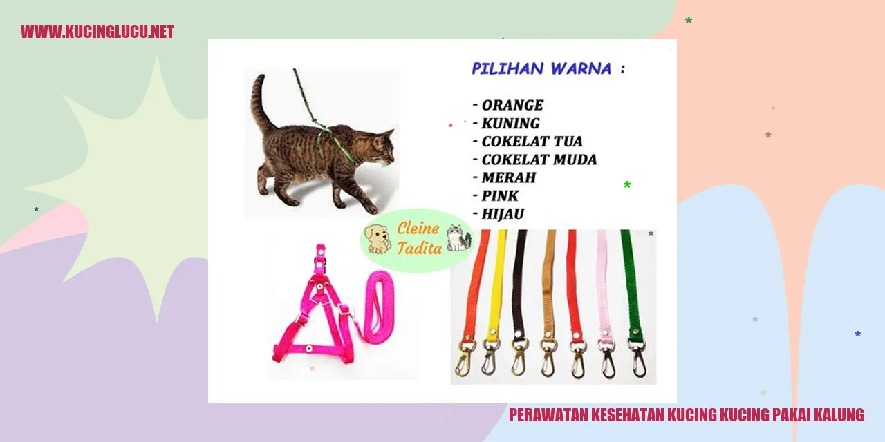 Perawatan Kucing Kucing Pakai Kalung