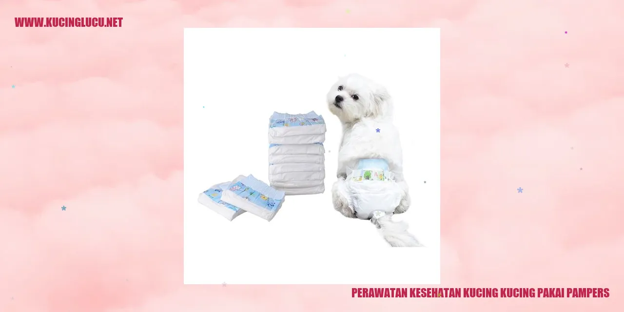 Perawatan Kesehatan Kucing dengan Pampers