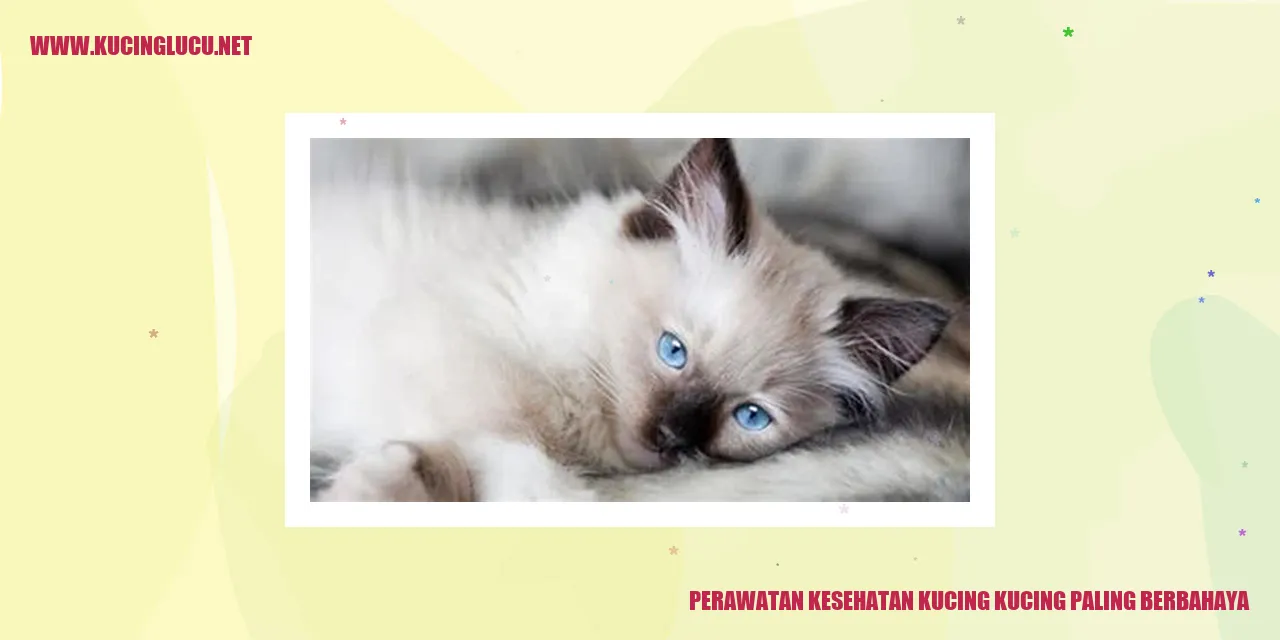Perawatan Kesehatan Kucing yang Paling Berbahaya