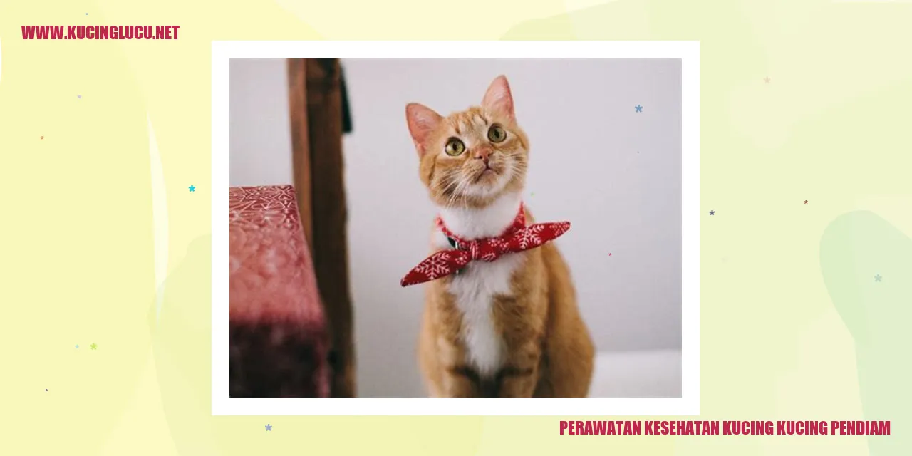 Perawatan Kesehatan Kucing Kucing Pendiam
