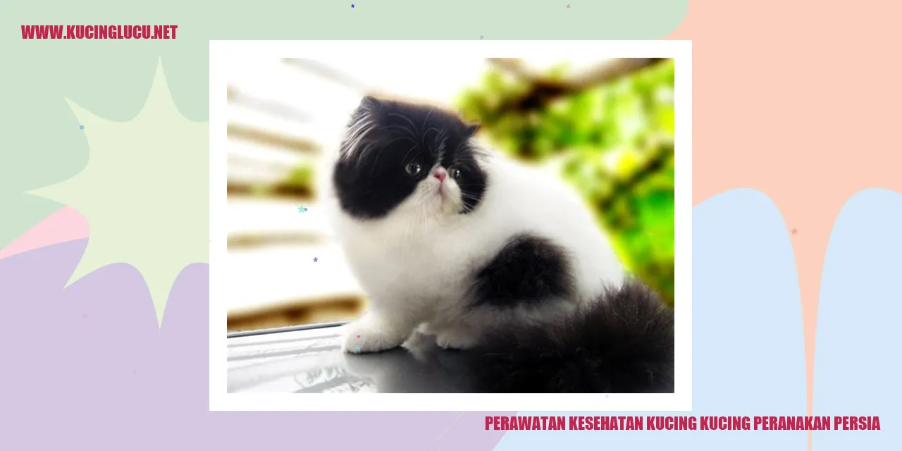 Kucing Peranakan Persia