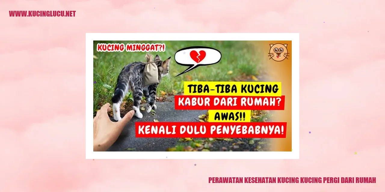 Perawatan Kesehatan Kucing