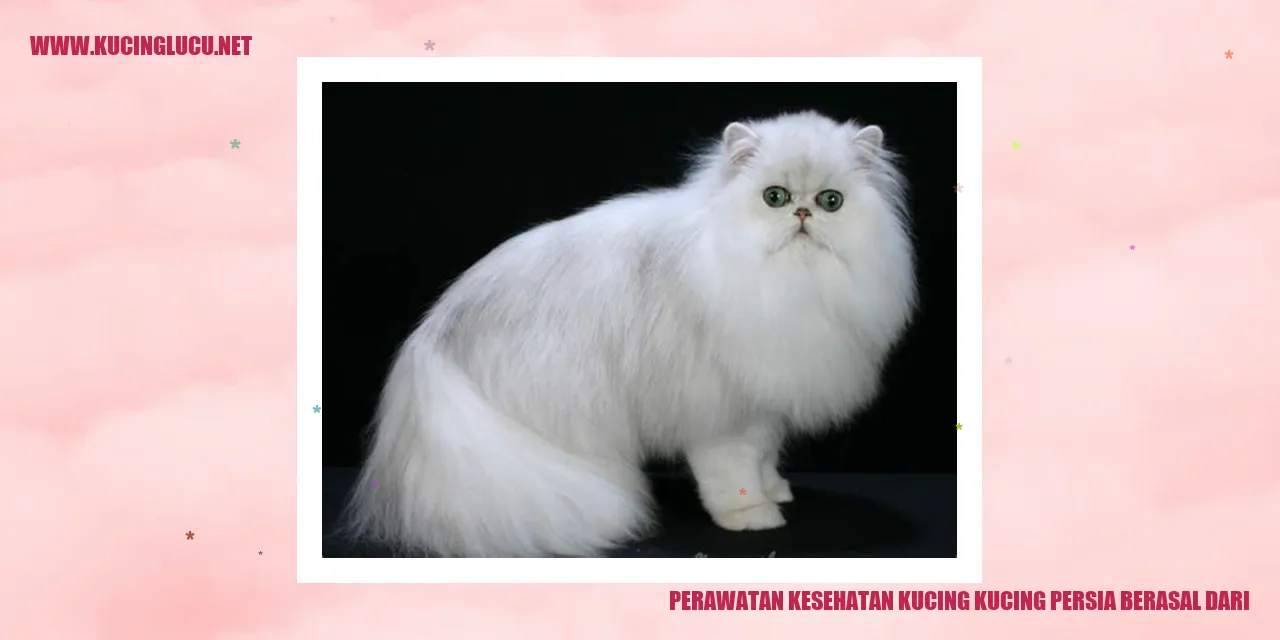 Perawatan Kesehatan Kucing Persia
