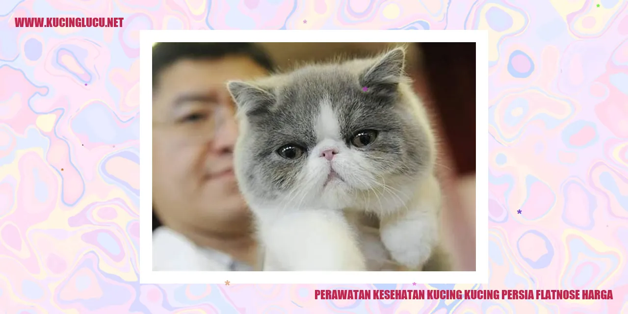 Perawatan Kesehatan Kucing Persia Flatnose Harga