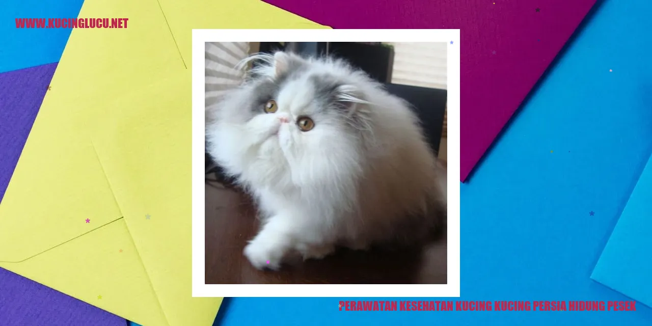 Perawatan Kesehatan Kucing Persia Hidung Pesek