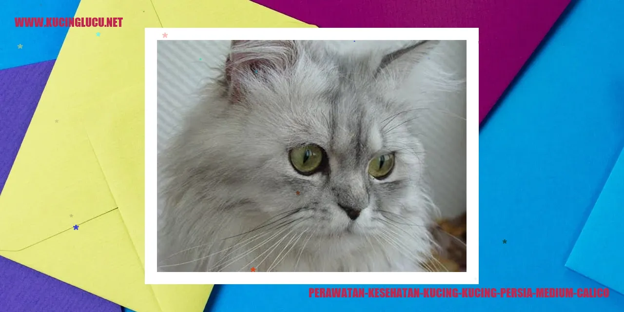 Perawatan Kesehatan Kucing Persia Medium Calico