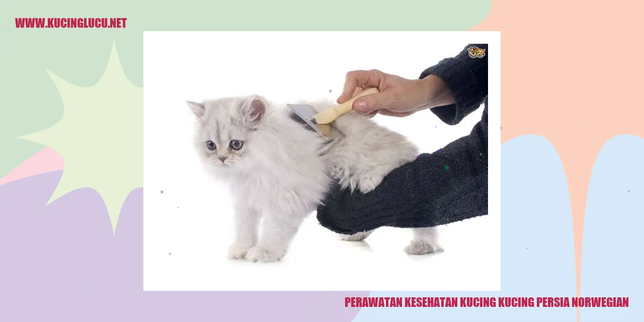 Perawatan Kesehatan Kucing Persia Norwegian