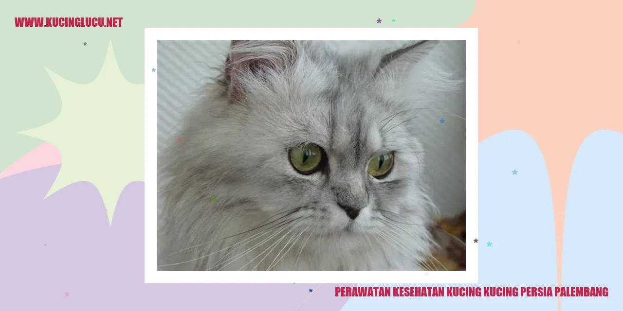 Perawatan Kesehatan Kucing Persia Palembang
