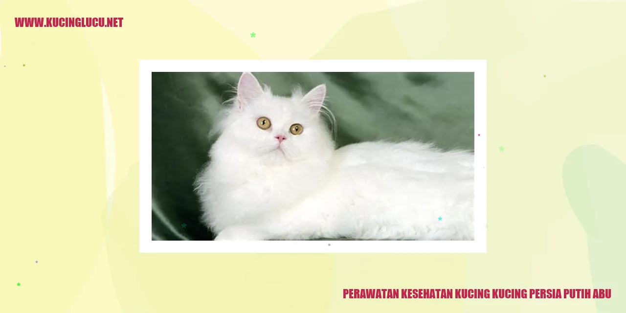 Perawatan Kesehatan Kucing persia putih abu