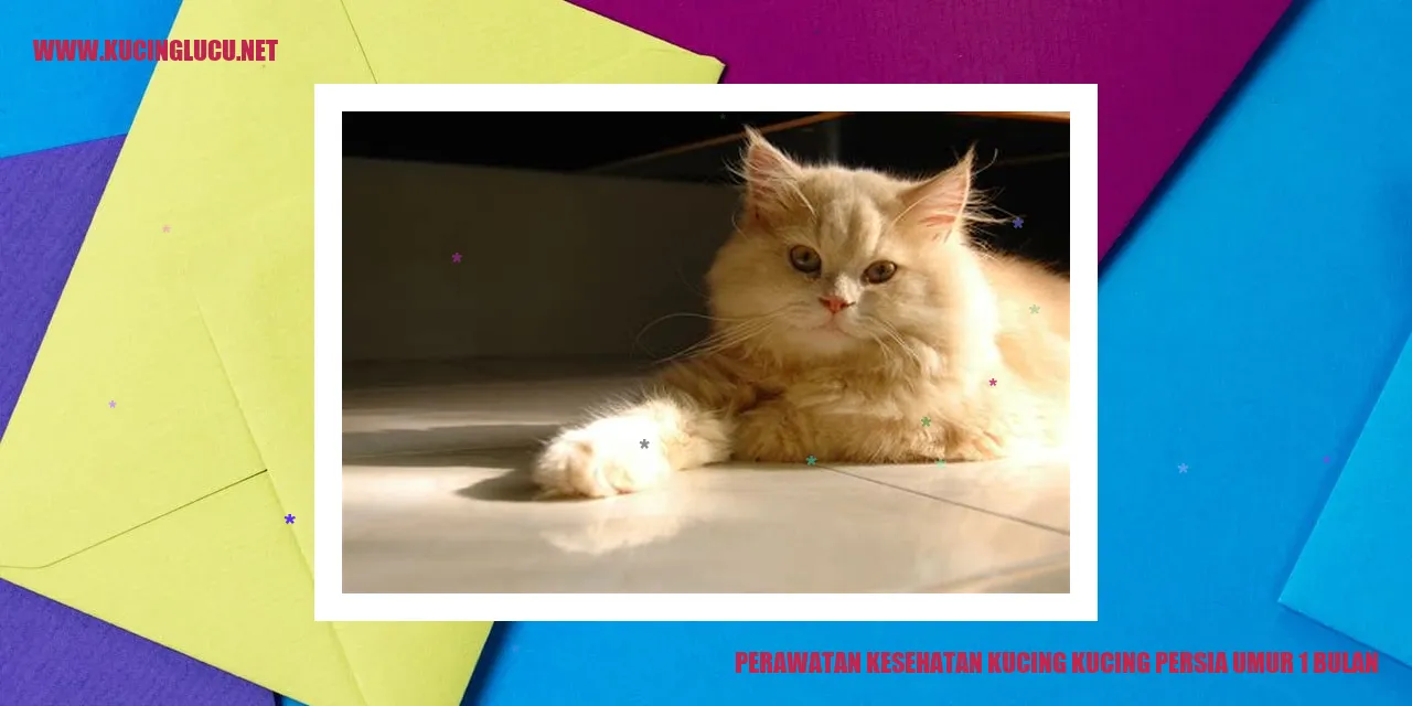Perawatan Kesehatan Kucing Persia Umur 1 Bulan