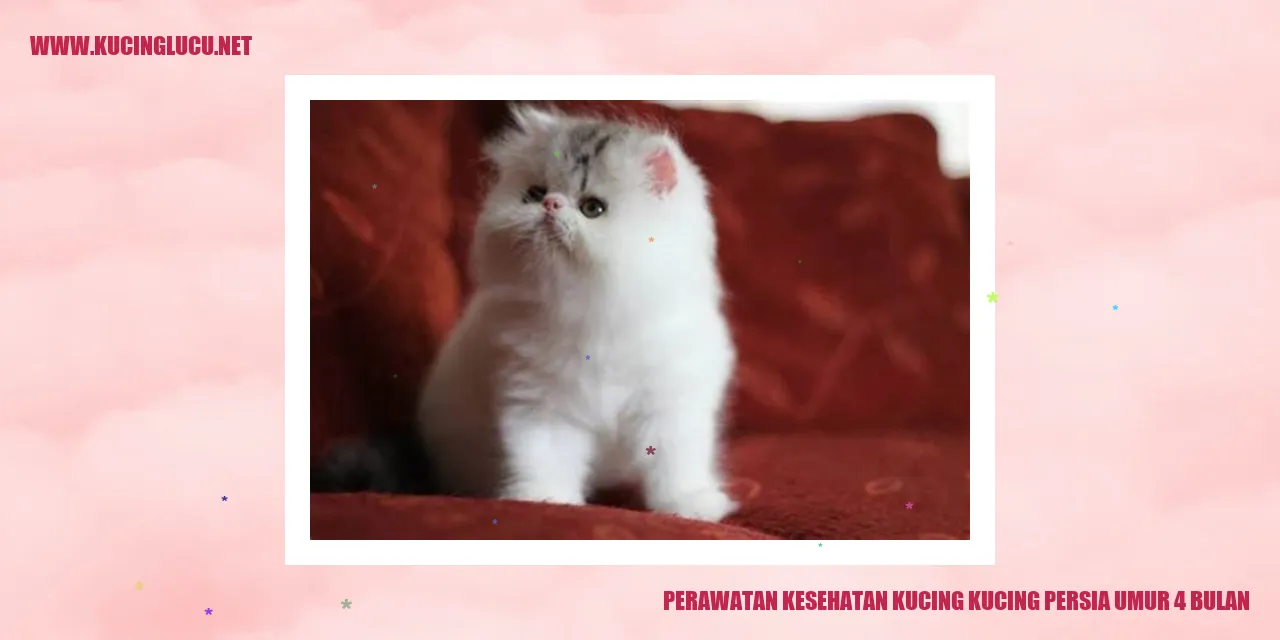Perawatan Kesehatan Kucing Persia