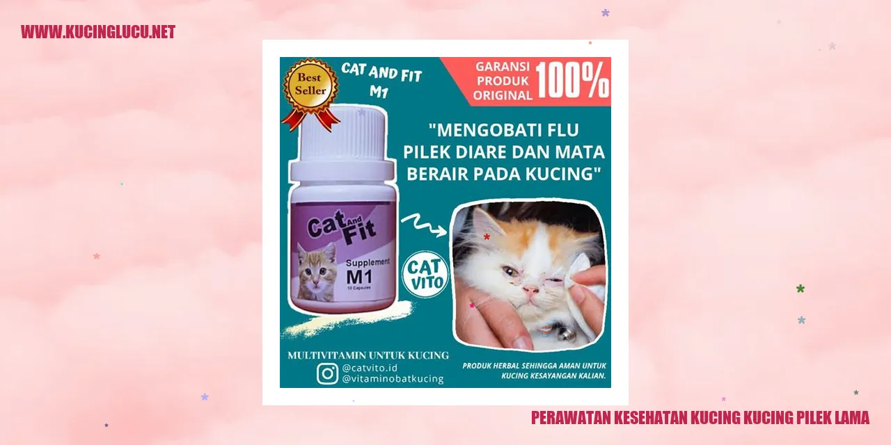 Gambar kucing sedang pilek