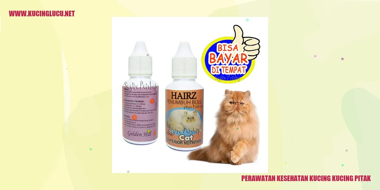 Kucing Pitak