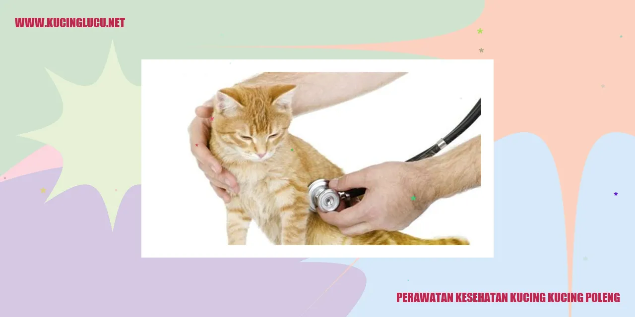Perawatan Kesehatan Kucing Poleng