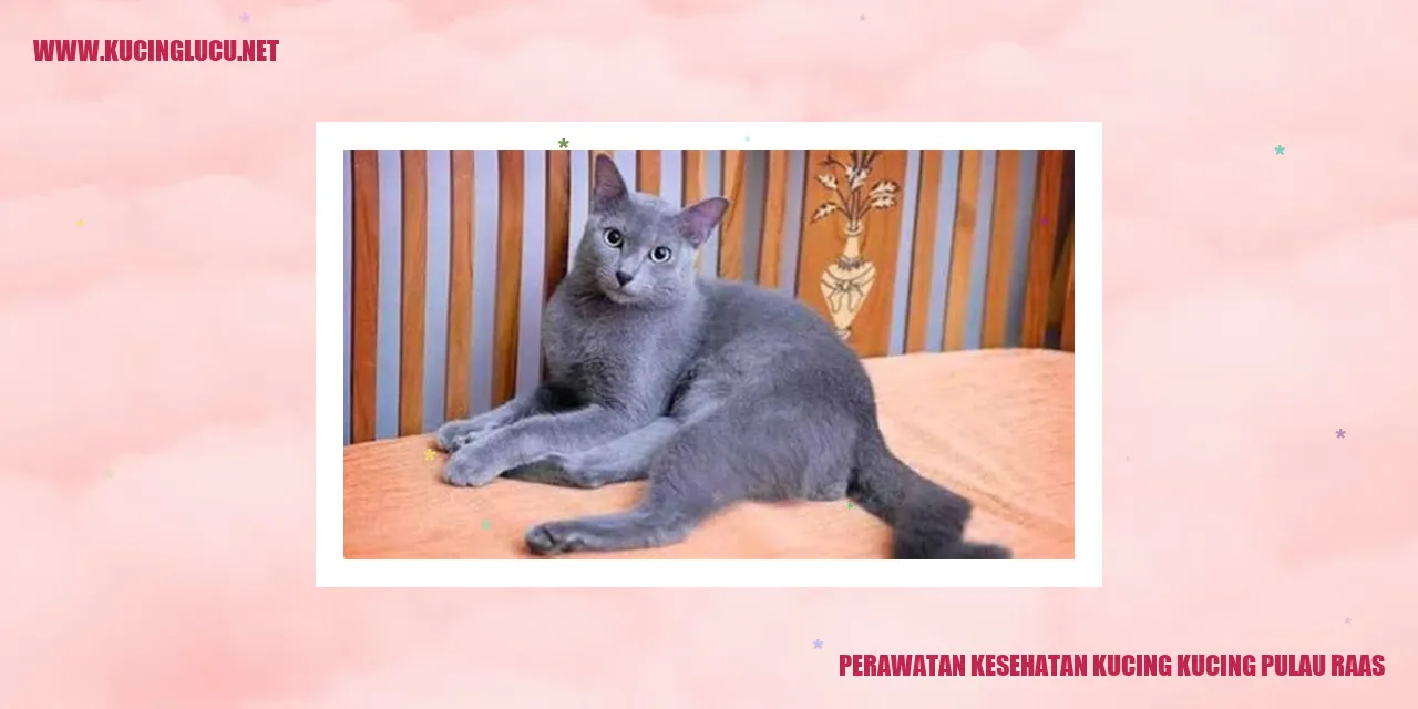 Perawatan Kesehatan Kucing Pulau Raas