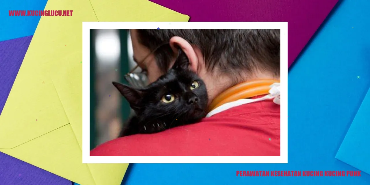 Perawatan Kesehatan Kucing Punk