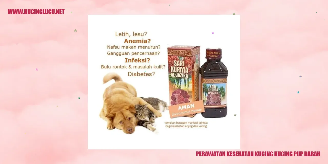 Perawatan Kesehatan Kucing kucing pup darah