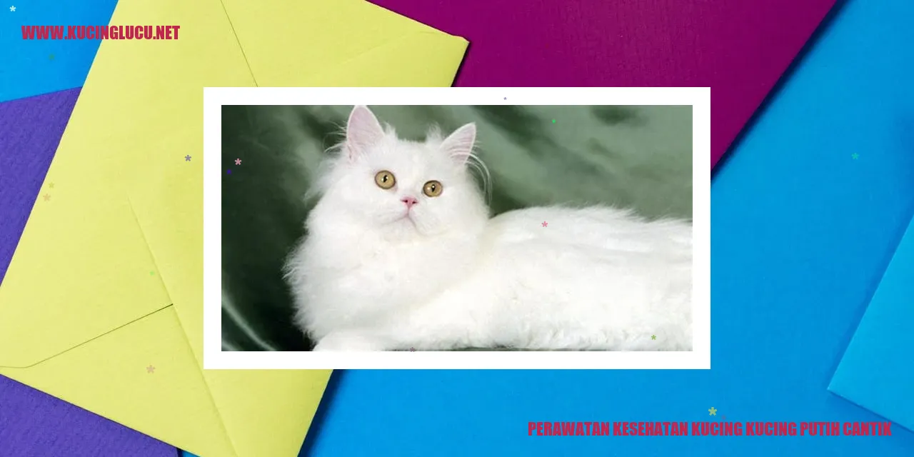 Kucing putih cantik