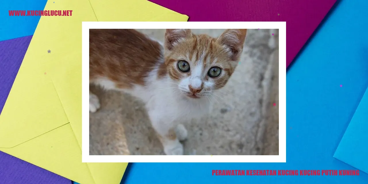 Perawatan Kesehatan Kucing Kucing Putih Kuning