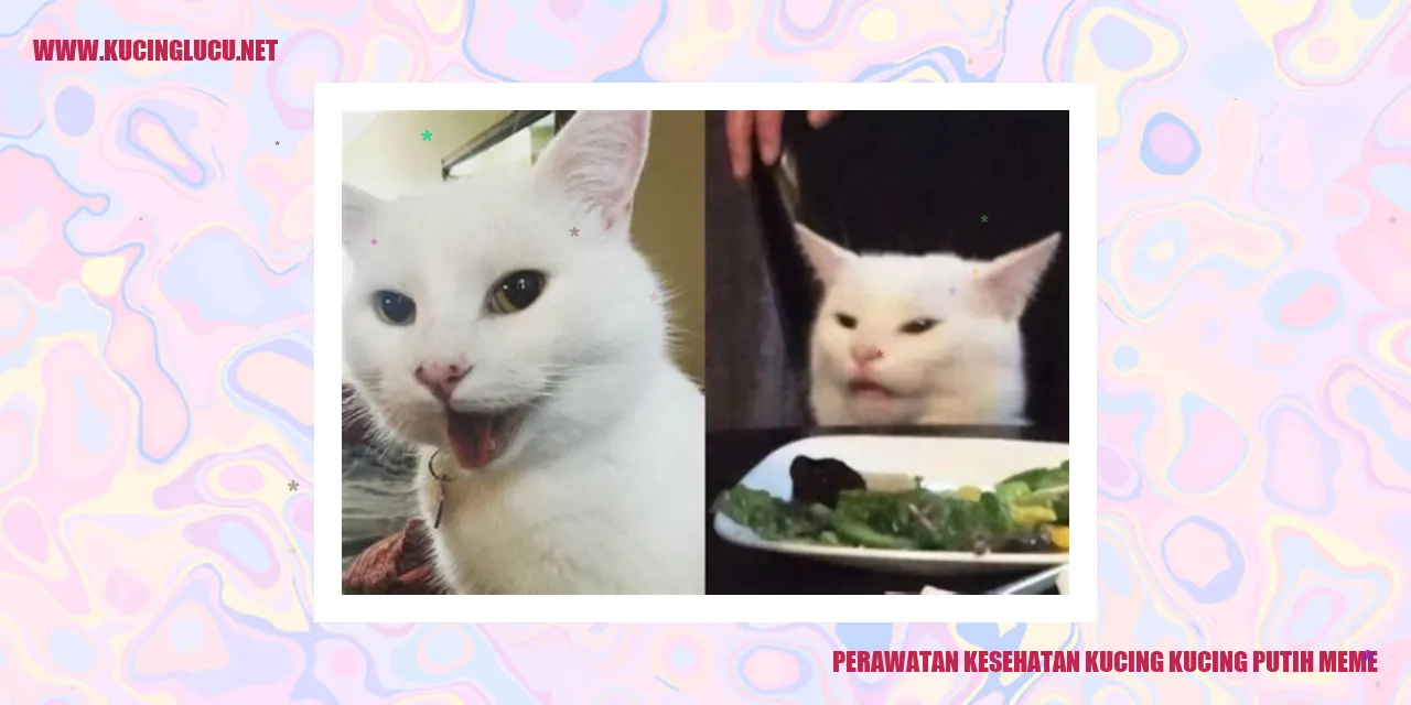 Kucing Putih Meme