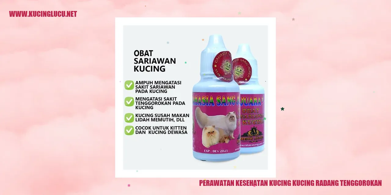 Perawatan Kesehatan Kucing dengan Radang Tenggorokan