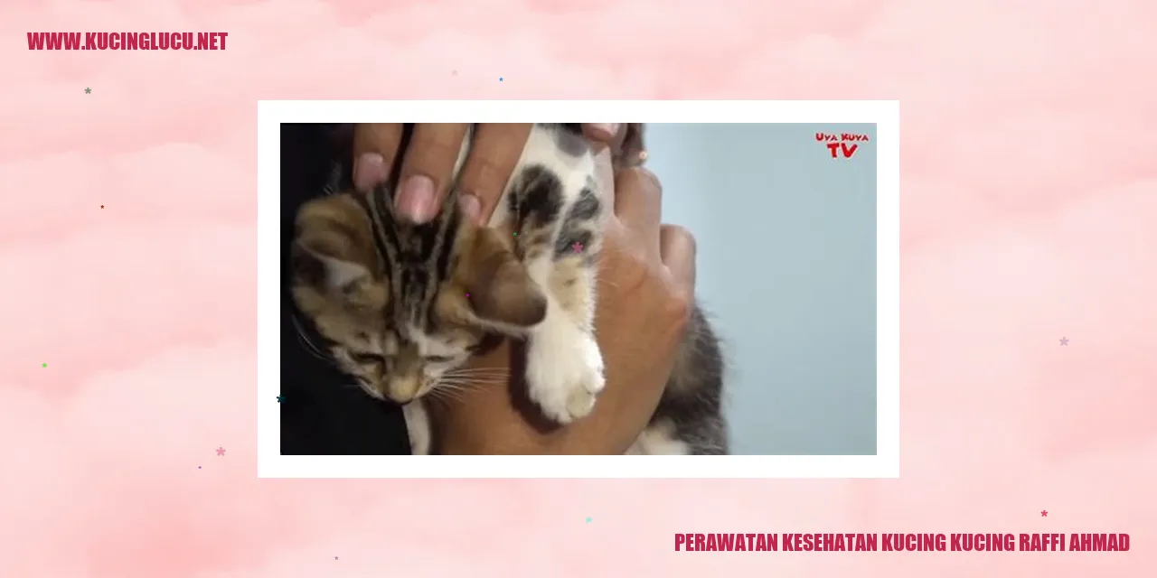 Perawatan Kesehatan Kucing