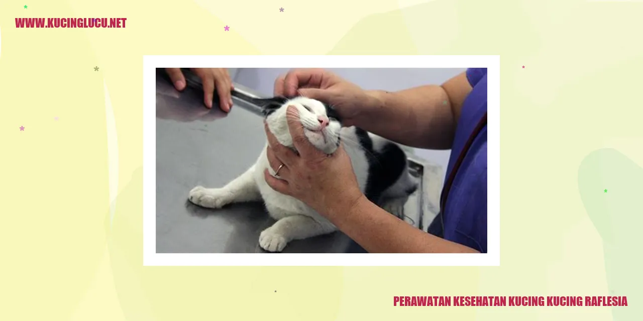 Perawatan Kesehatan Kucing Raflesia