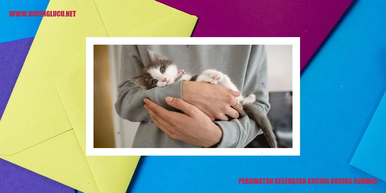 Perawatan Kesehatan Kucing Rembah
